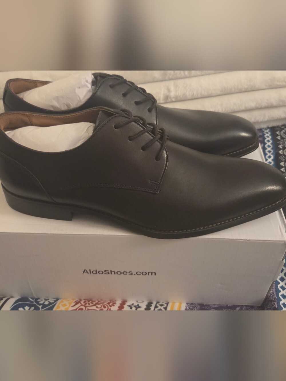 NEW IN BOX Aldo Men's brown Allegro Oxford Shoes